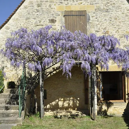 Nyaraló Maison Perigourdine Avec Piscine, Wifi, Animaux Acceptes - Fr-1-616-77